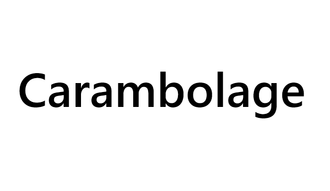 Projet Artistique - Carambolage
